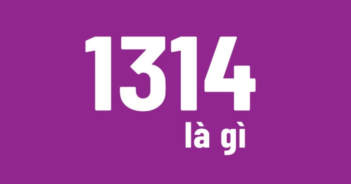 1314 là gì? 1314 có ý nghĩa là gì trong tình yêu?