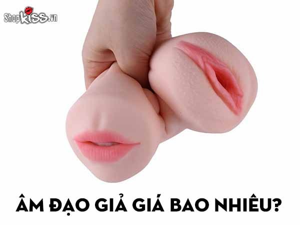 Âm đạo giả giá bao nhiêu? Các loại âm đạo đang bán chạy nhất