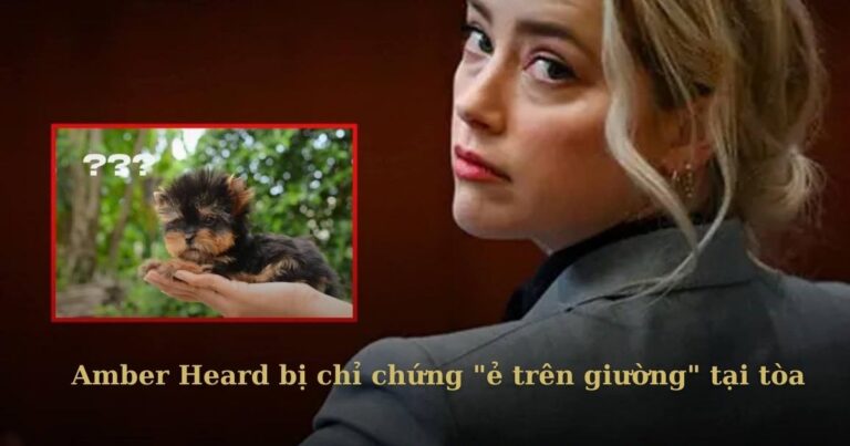 Amber Heard thừa nhận tình tiết “ẻ trên giường” tại tòa