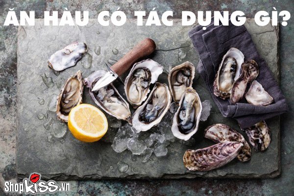 Ăn hàu có tác dụng gì cho sức khỏe của chúng ta?