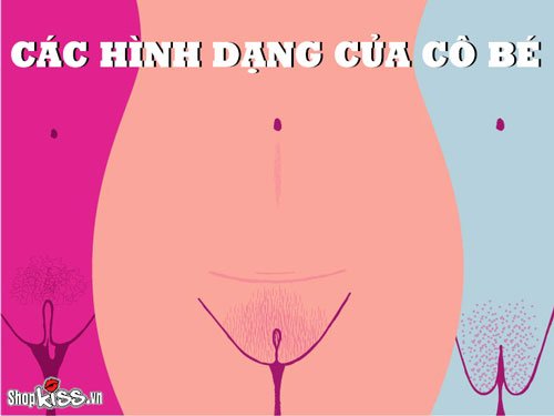 Các hình dạng của cô bé có cấu tạo như thế nào?