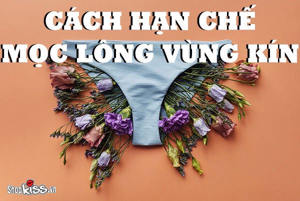 Cách hạn chế mọc lông vùng kín hiệu quả tại nhà