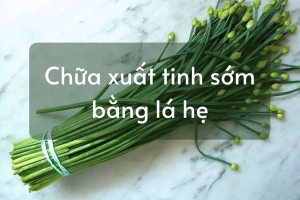 Chữa xuất tinh sớm bằng lá hẹ có hiệu quả thật không