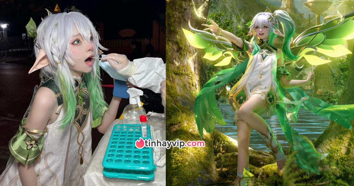 Đang cosplay Nahida Genshin Impact Tiểu Nhu bị bế đi test COVID 19