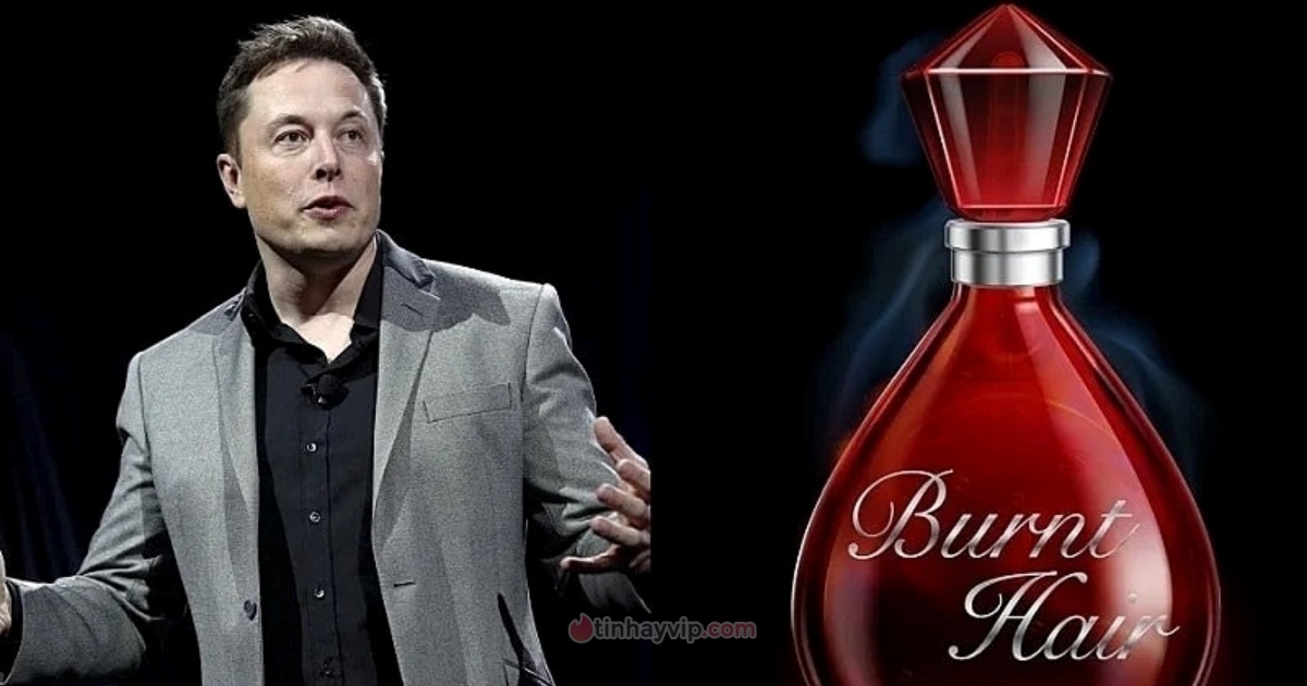 Elon Musk chốt đơn 10.000 chai nước hoa mùi “tóc cháy”