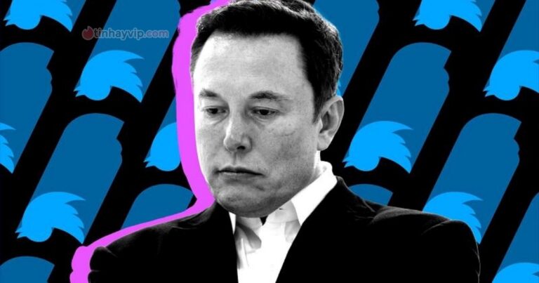 Elon Musk đăng khảo sát về việc “nên từ chức CEO Twitter không”