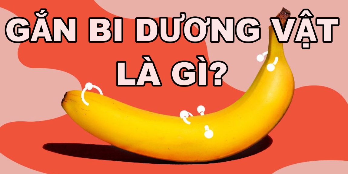 Gắn bi dương vật cho nam là gì? Nguy hiểm như thế nào? Giá?