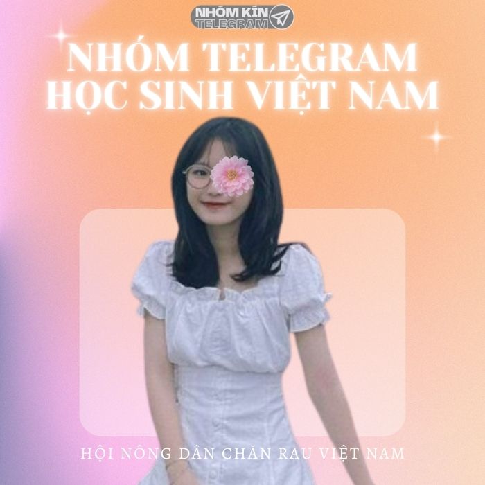 Nhóm Telegram học sinh Việt Nam uy tín, mới nhất 2024