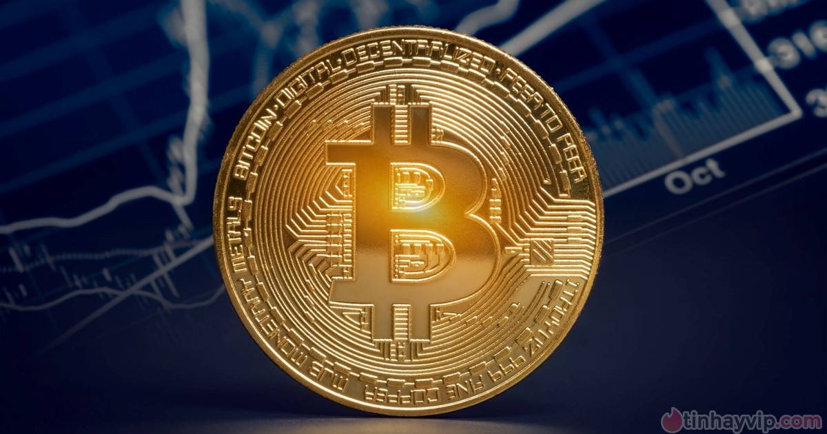 Sau 10 tháng giảm sâu, Bitcoin đang dần hồi phục