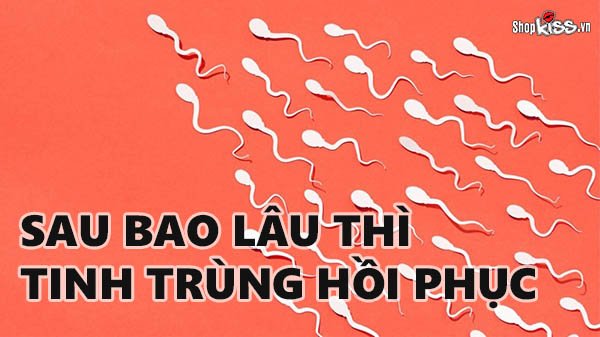 Sau bao lâu thì tinh trùng hồi phục sau khi xuất tinh