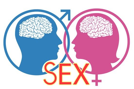 Sex là gì? Những cách thức Sex ở con người