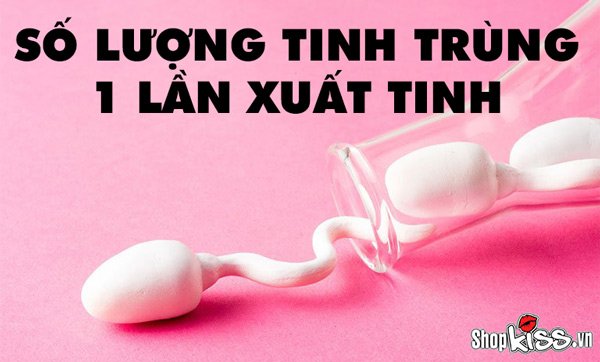 Số lượng tinh trùng 1 lần xuất ra ở nam giới là bao nhiêu?