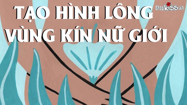 Tạo hình lông vùng kín nữ giới: 6 kiểu tạo hình quyến rũ