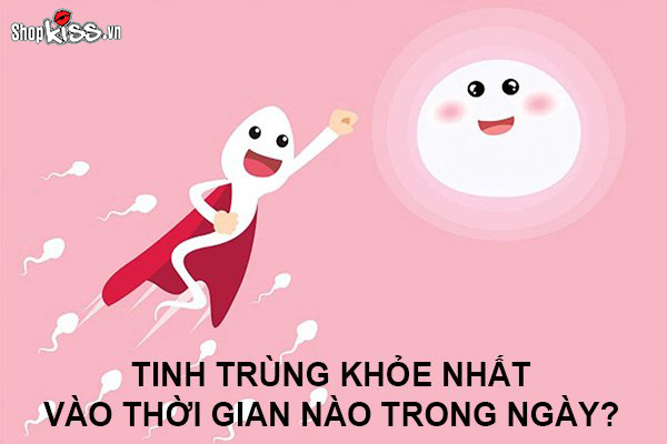 Tinh trùng khỏe nhất vào thời gian nào trong ngày?