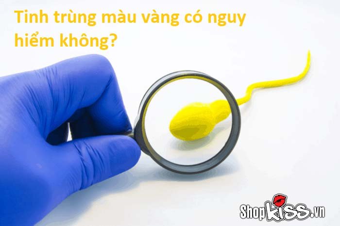 Tinh trùng màu vàng có phải là dấu hiệu của bệnh lý không?