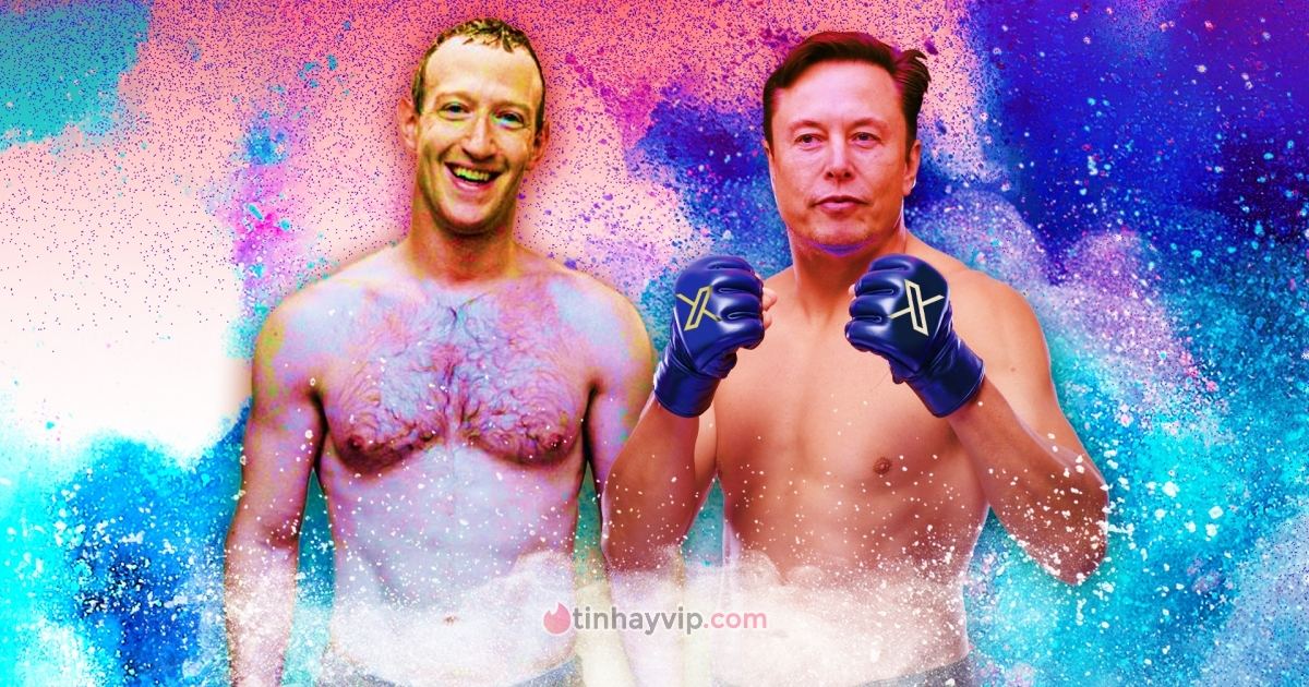 Trận đấu của Elon Musk và Mark Zuckerberg sẽ livestream trên nền tảng X?