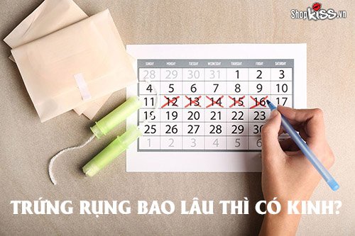 Trứng rụng bao lâu thì có kinh dựa trên chu kỳ kinh nguyệt?