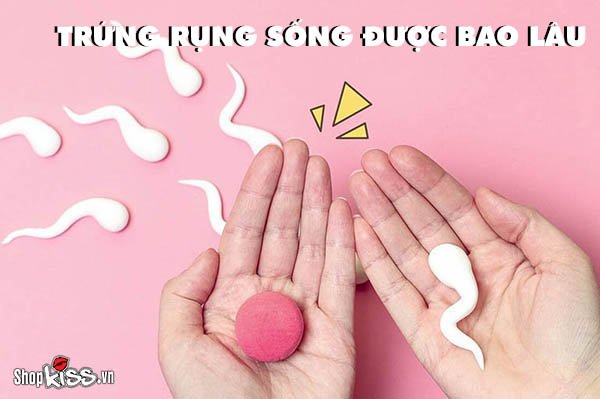 Trứng rụng sống được bao lâu trong cơ thể phụ nữ?