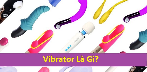 Vibrator là gì? Các loại Vibrator thông dụng trên thị trường